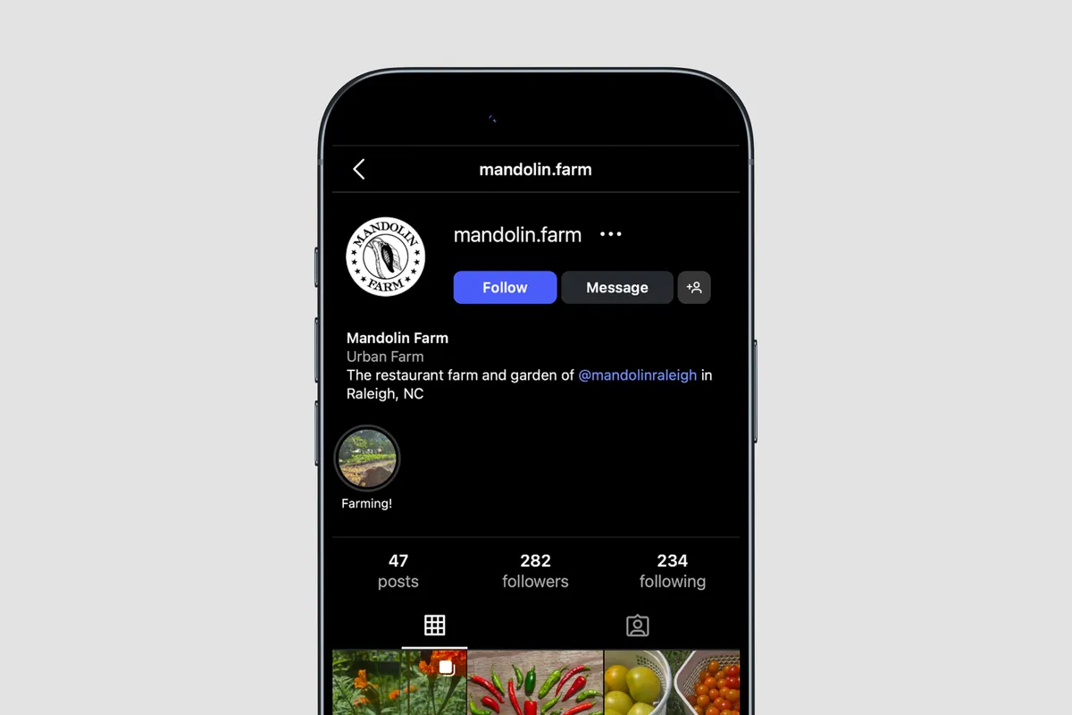 Mandolin Farm Social Media Branding