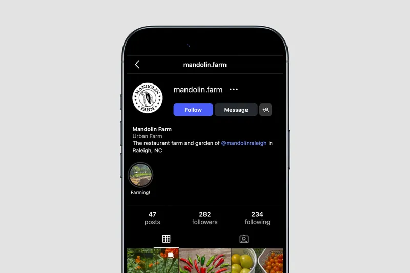 Social media brand identity design for Mandolin Farm organic produce with custom illustrations